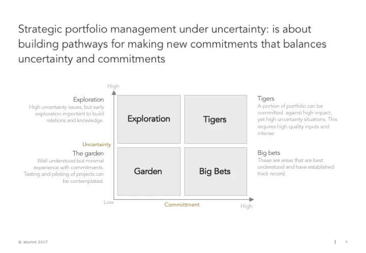 Portfolio approach to managing risks under uncertainty