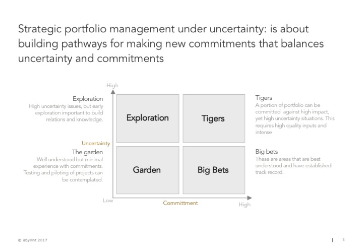 Portfolio approach to managing risks under uncertainty